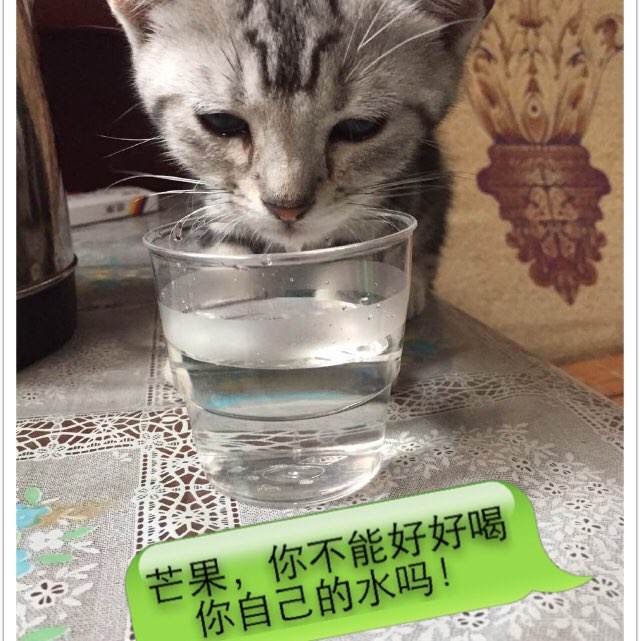 学历证明指的是学位证还是毕业证